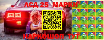 гашик Гатчина