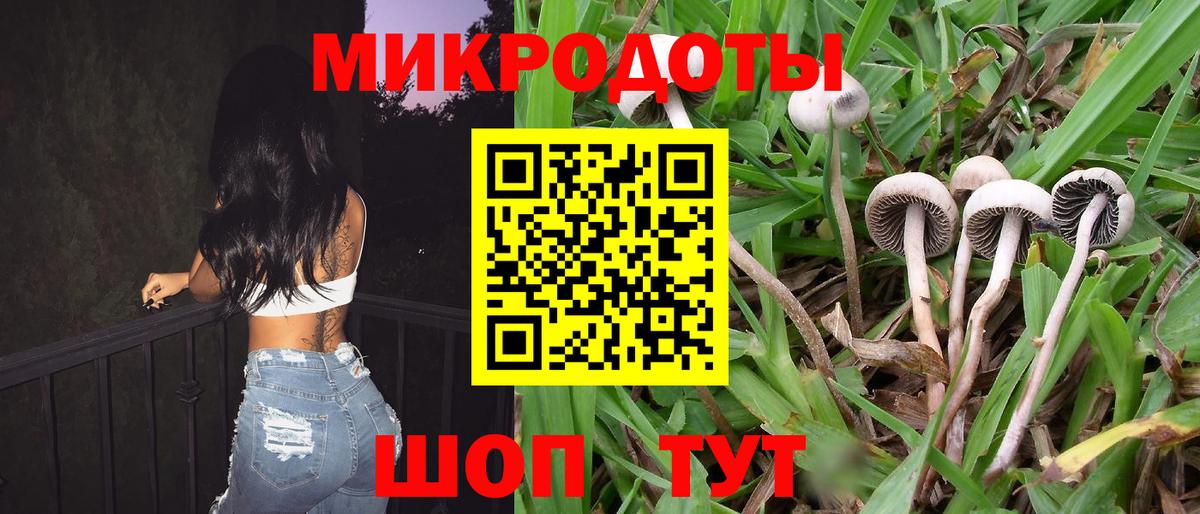 Воронеж  как найти закладки  Вход с VPN  Галлюциногенные грибы GOLDEN TEACHER 